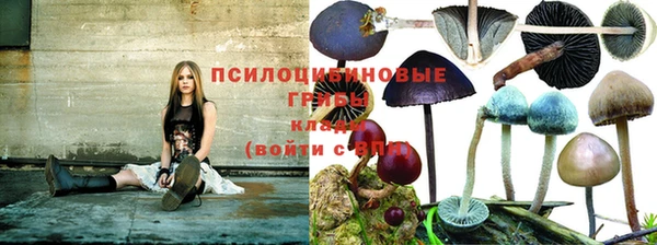 мяу мяу мука Алексин