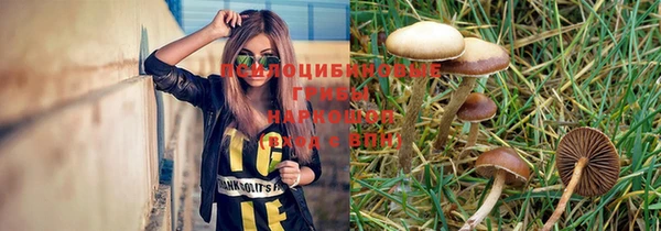 трава Абинск